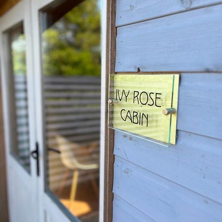 Ivy Rose Cabin No Hot Tub Bude Zewnętrze zdjęcie