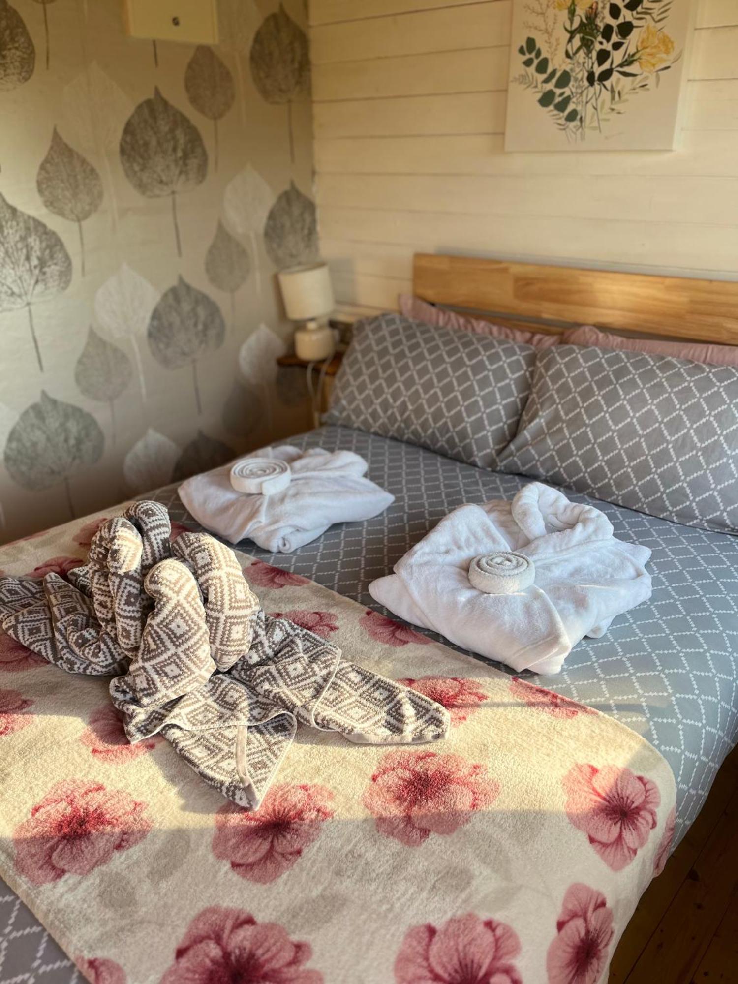 Ivy Rose Cabin No Hot Tub Bude Zewnętrze zdjęcie